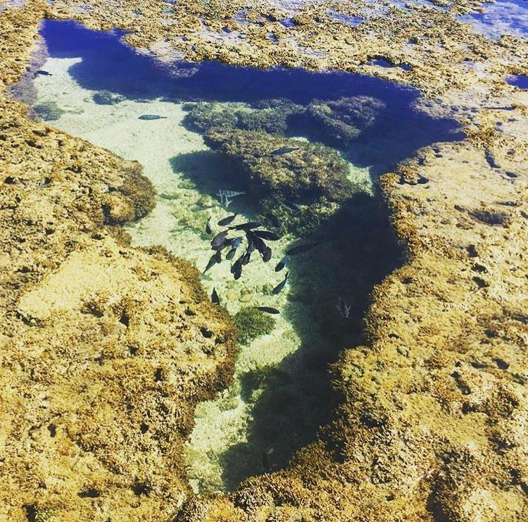 Pousada Maracabana Spa Pôrto das Galinhas エクステリア 写真